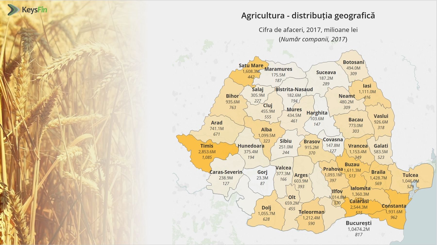 Agricultura românească scrie istorie în 2018. Business-ul cu grâu și porumb, la cote record