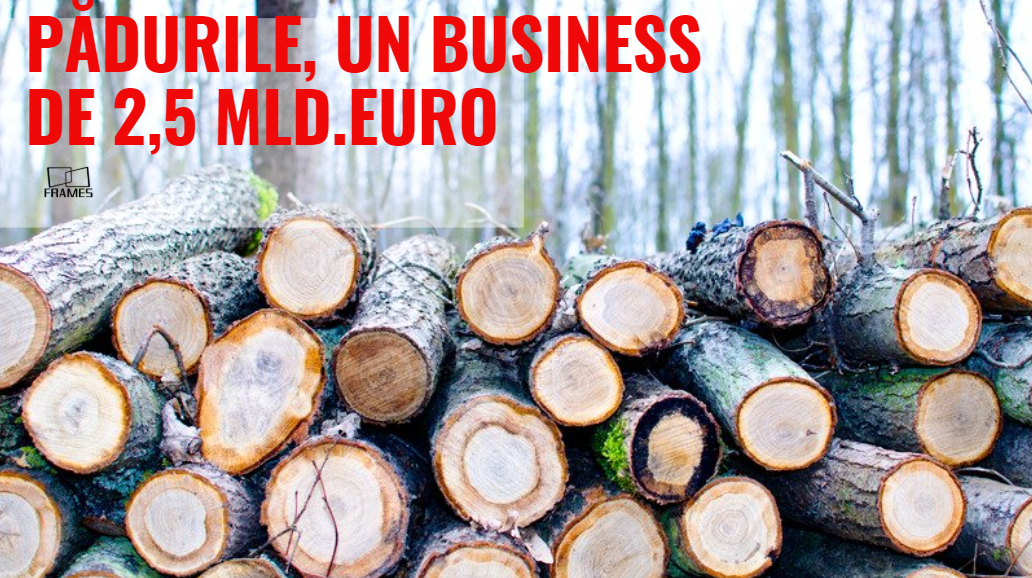Analiză Frames: România, țara care își vinde ,,aurul verde’’, pădurile, cu ochii închiși
