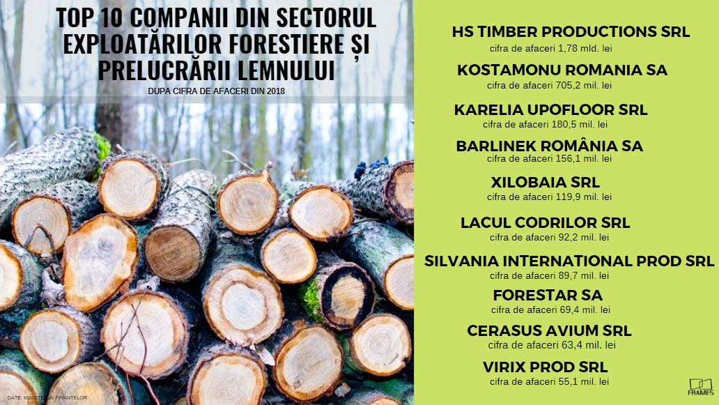 Analiză Frames: România, țara care își vinde ,,aurul verde’’, pădurile, cu ochii închiși — Imagine 3