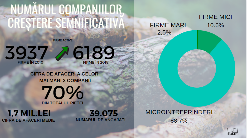 Analiză Frames: România, țara care își vinde ,,aurul verde’’, pădurile, cu ochii închiși — Imagine 4