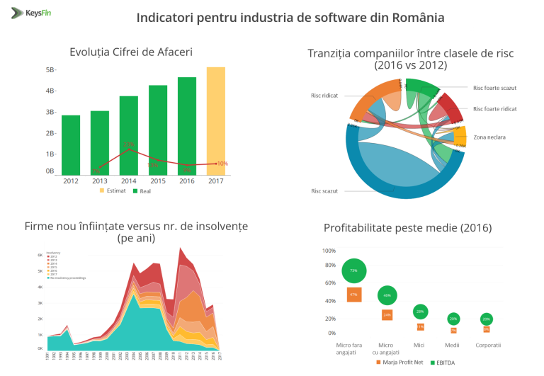 Software-ul românesc, în mâinile străinilor. Cum au ajuns multinaționalele să controleze piața IT