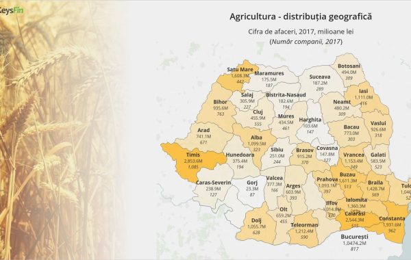 Agricultura românească scrie istorie în 2018. Business-ul cu grâu și porumb, la cote record
