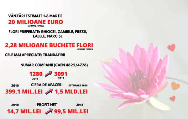 Analiză Frames: Florile de Mărțișor și de 8 Martie, un business de peste 20 de milioane de euro Analiză Frames: Florile de Mărțișor și de 8 Martie, un business de peste 20 de milioane de euro