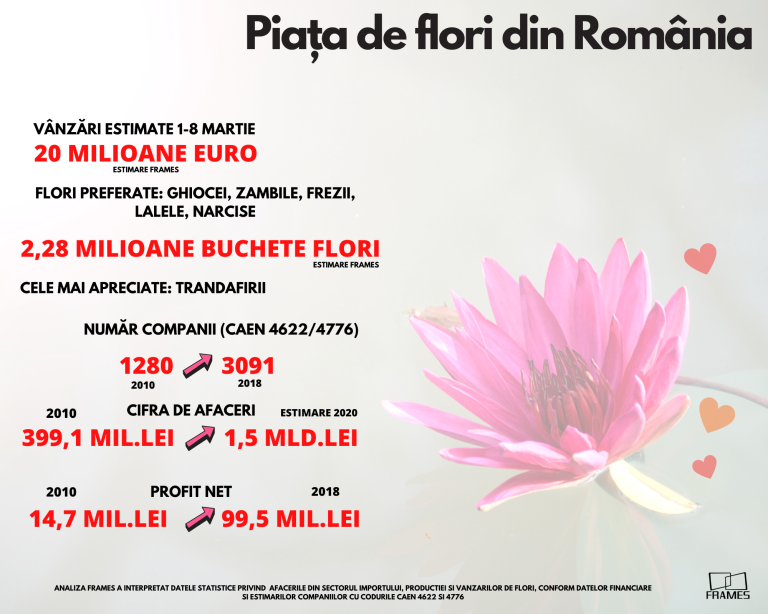 Analiză Frames: Florile de Mărțișor și de 8 Martie, un business de peste 20 de milioane de euro