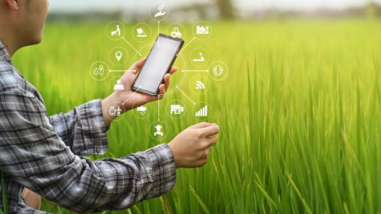 Afacerile din agricultură & alimentație, target de 20 miliarde de euro în următorii 2 ani