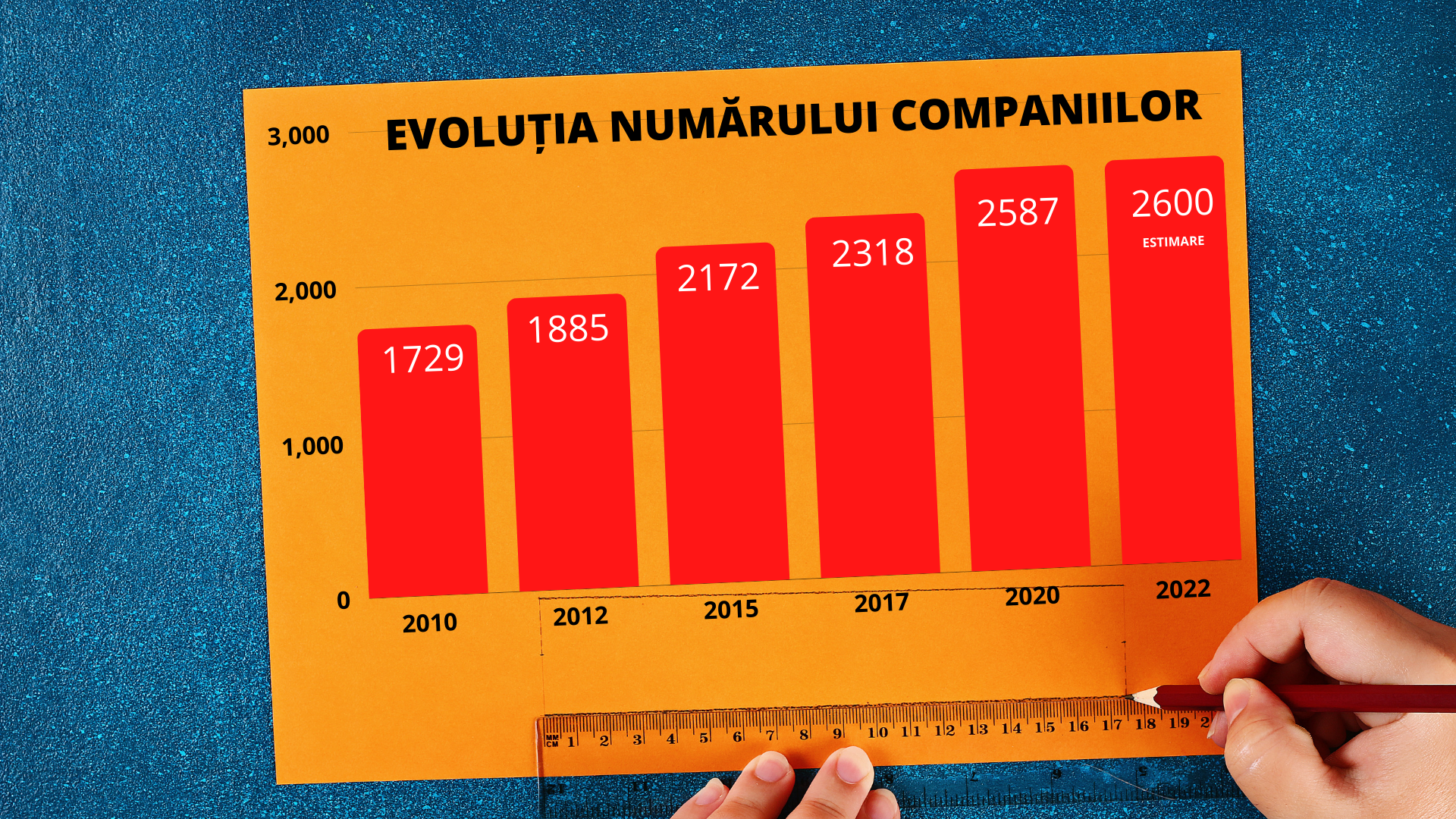 Apetitul românilor pentru amenajările din casă duce piața de bricolaj la un record istoric în 2022 — Imagine 2