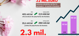 <strong>Analiză Frames: Florile de Mărțișor și de 8 Martie, un business de peste 30 de milioane de euro</strong>