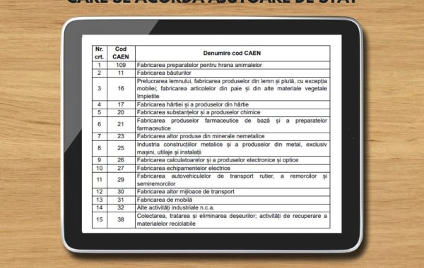 Analiză Frames. Cine și cum decide acordarea ajutoarelor de stat. De ce vrea statul să ajute cu 234,5 milioane de lei o firmă cu un singur 1 angajat