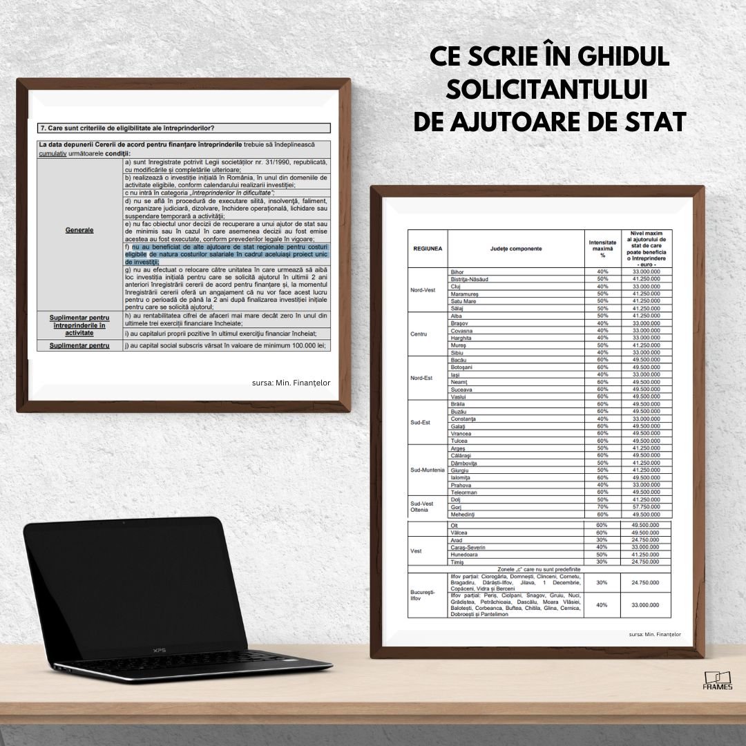 Analiză Frames. Cine și cum decide acordarea ajutoarelor de stat. De ce vrea statul să ajute cu 234,5 milioane de lei o firmă cu un singur 1 angajat — Imagine 2